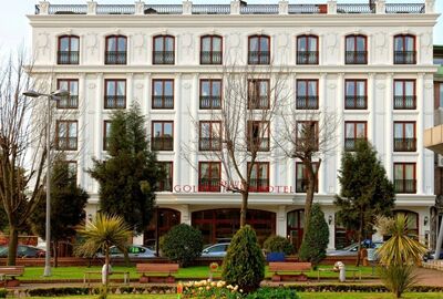 Deluxe Golden Horn