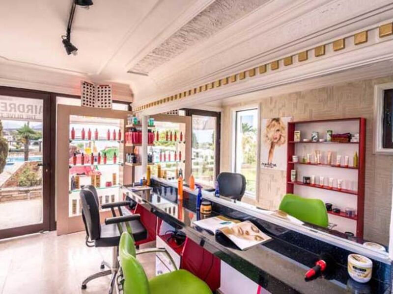 The Olive Tree Hotel
