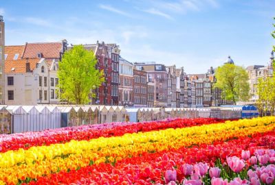 DELUXE BENELUX & PARIS 2026 PC YAZ (CRL-CRL)