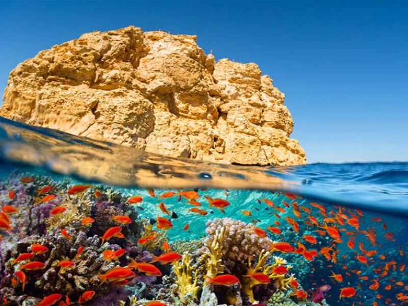 İzmir Hareketli Sunexpress İle Sharm El Sheıkh Turu 3 Gece (325)