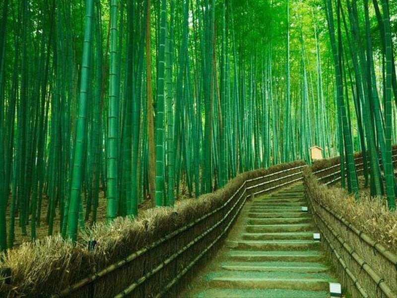 Japonya Kore Turu THY NRT İle 11 Gece 12 Gün - 2025