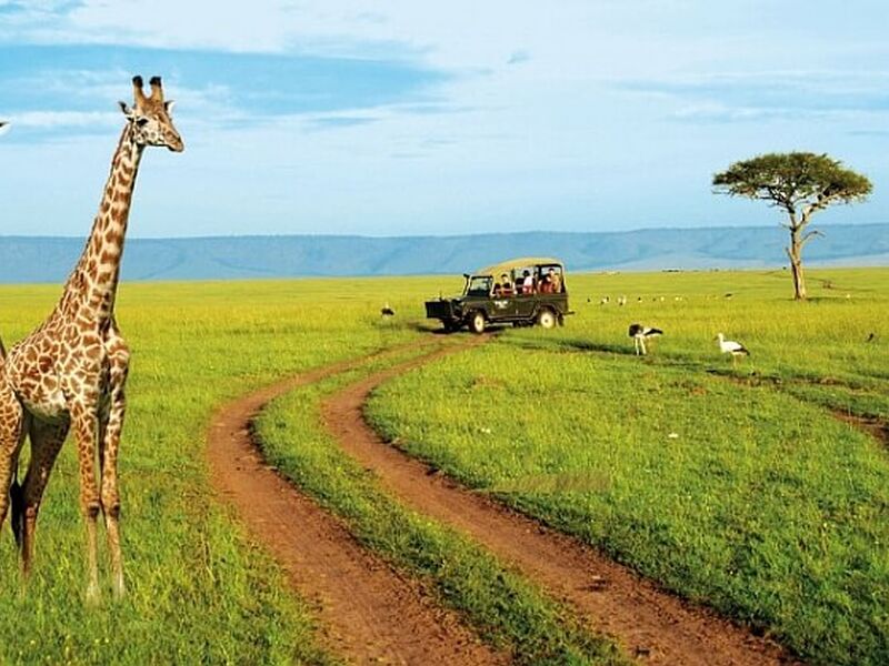 Kenya Safari Turu Air Arabia Havayolları ile Her Pazar Hareket