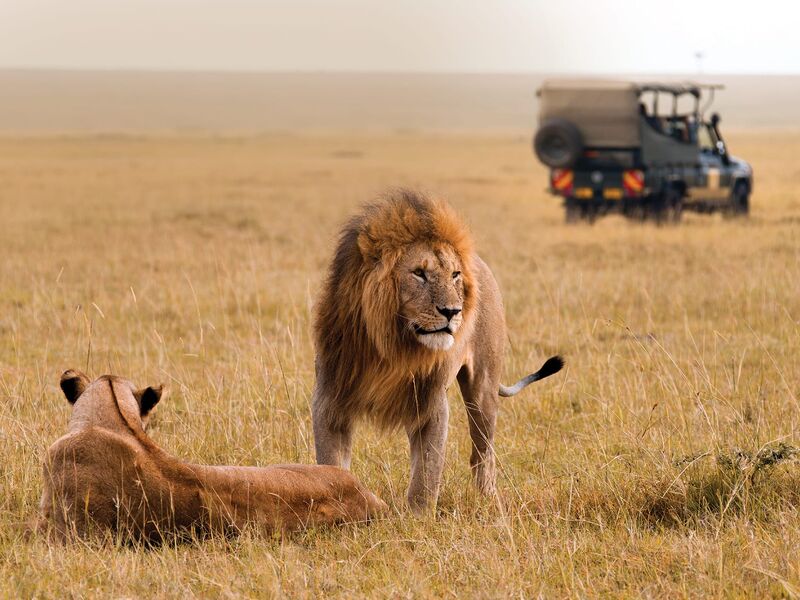 Kenya Safari Turu Air Arabia Havayolları ile Her Pazar Hareket