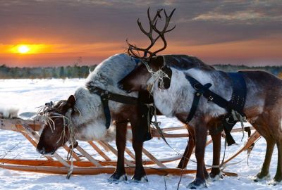 Dolu Dolu Lapland Turu Beyaz Rotalar (3 Gece - Olof Hotel)