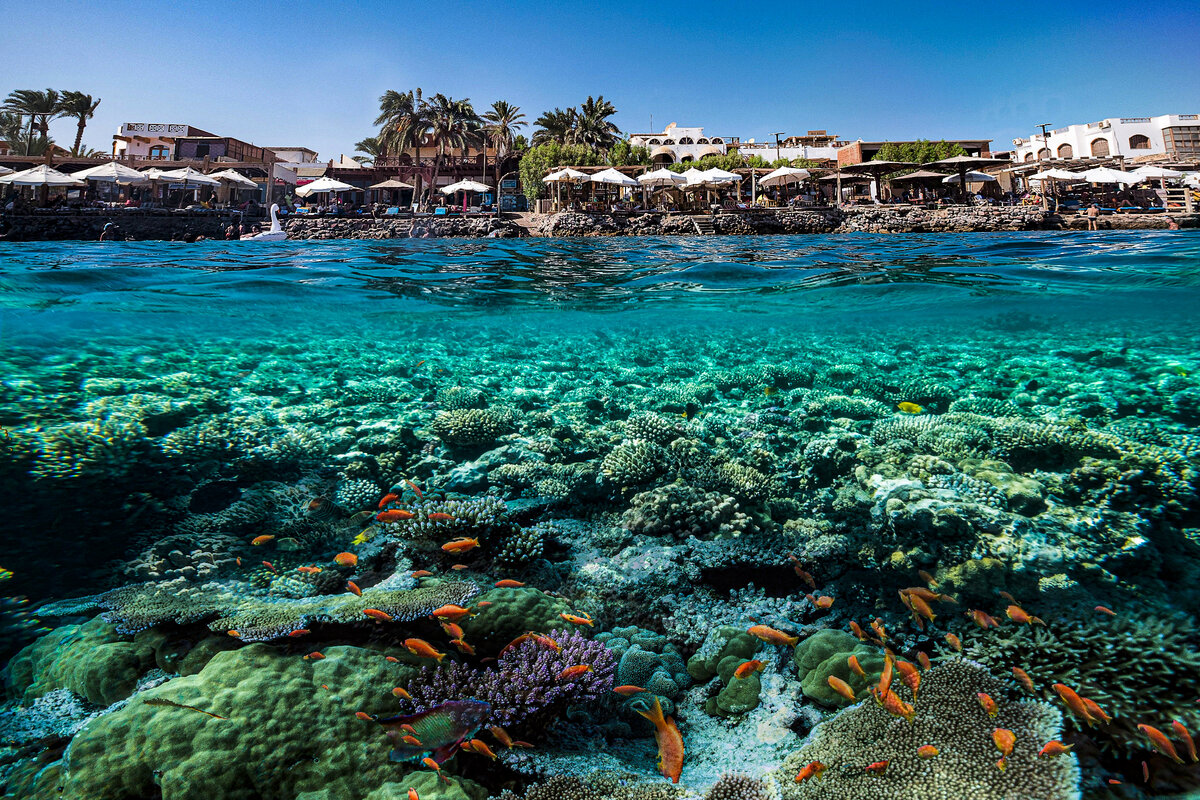 İstanbul Kalkışlı Ajet İle Piramitlerden Kızıldenize Kahire Sharm El Sheıkh Turu 6 Gece (319)