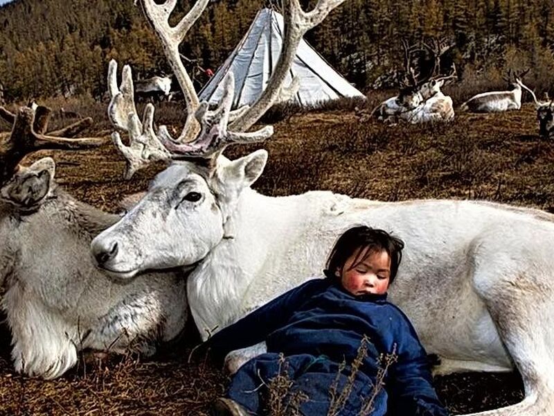 Moğolistan Turu Türk Havayolları İle 9 Gün EJ001
