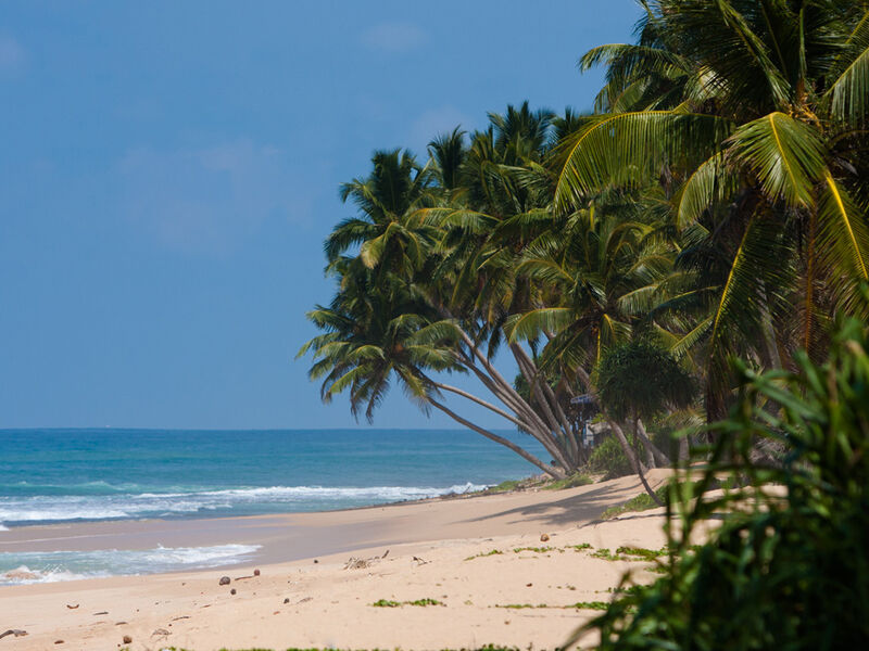 Sri Lanka Turu Türk Havayolları İle 8 Gün EJ001