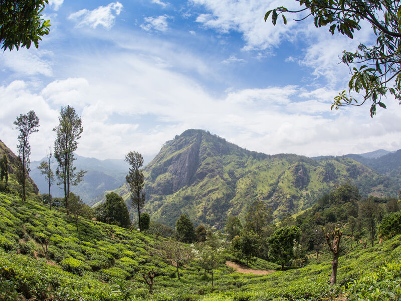 Sri Lanka Turu Türk Havayolları İle 8 Gün EJ001