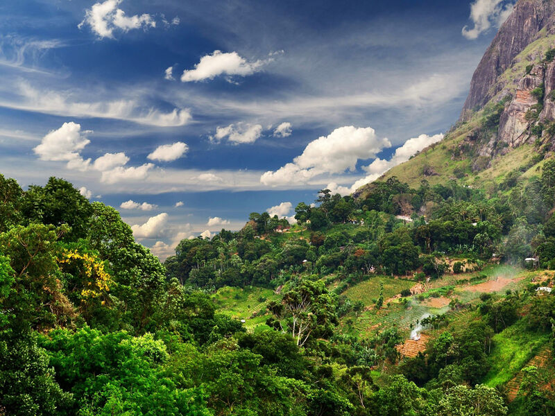 Sri Lanka Turu Türk Havayolları İle 8 Gün EJ001