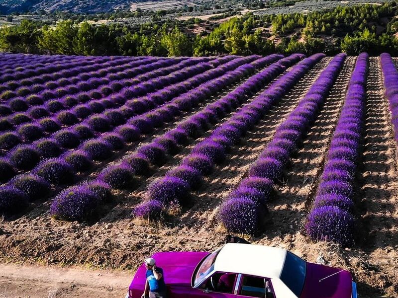 MARSILYA & NICE & MILANO 2026 YAZN(MRS-BGY)