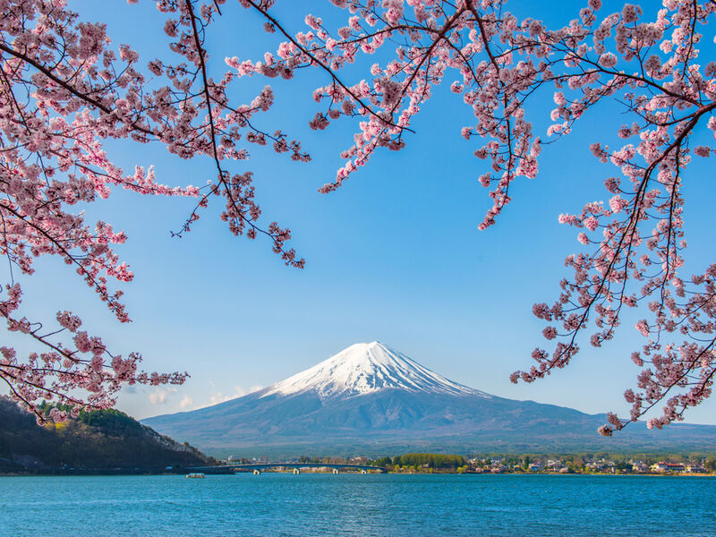 BÜYÜK JAPONYA TURU 2026 (HND-HND)