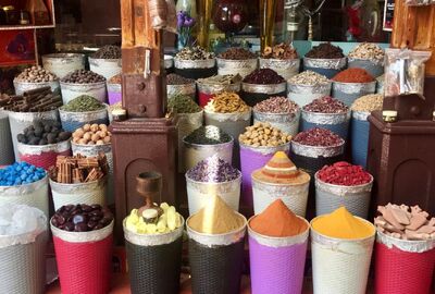 Çukurova Çıkışlı Çölün Ortasındaki Vaha Dubai Turu (801)