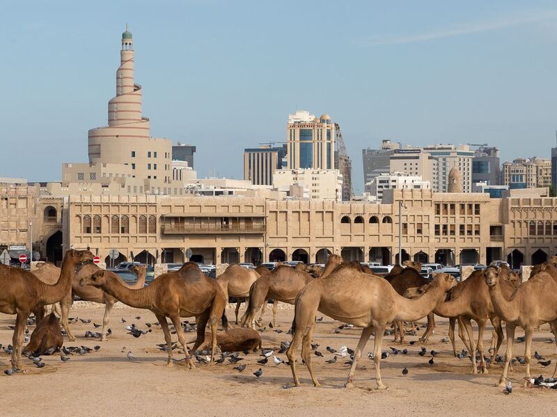 Ankara Hareketli Doha Katar Turu (805)