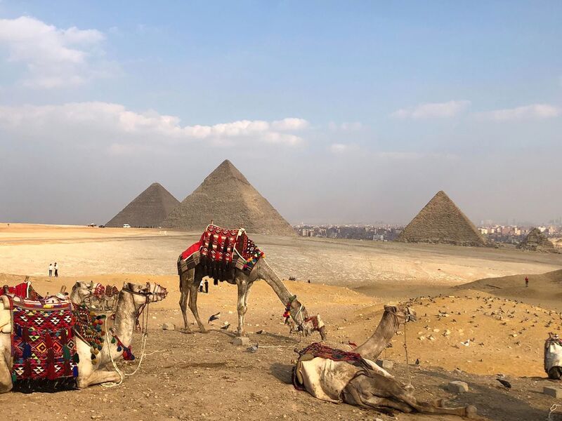 Çukurova Hareketli Antık Mısır Üçgeni (803)