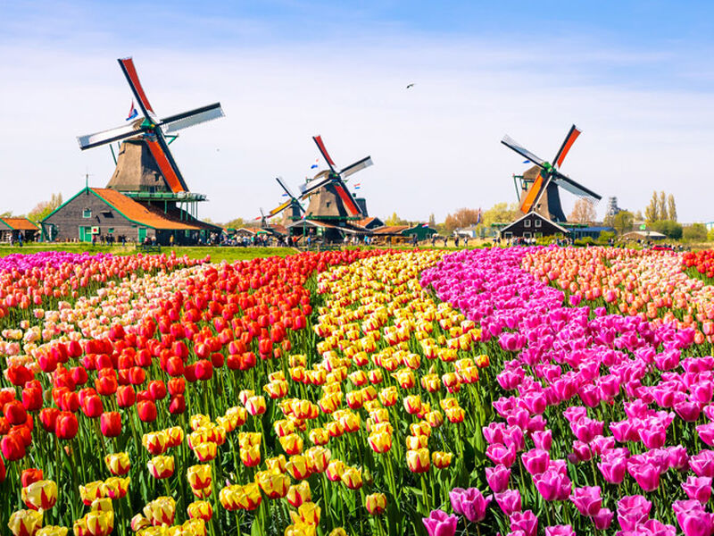 Amsterdam Turu Yılbaşı Özel Türk Havayolları İle 3 Gece 4 Gün