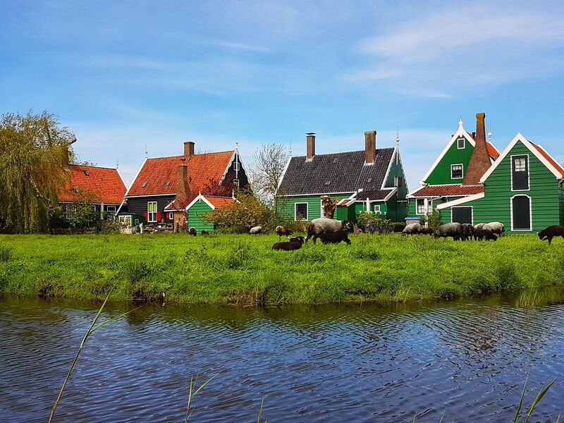 Bağlardan Masal Köylerine Yolculuk Almanya & Fransa & İsviçre | 4 Gece | İzmir Çıkış | SunExpress | 2026 Dönemi