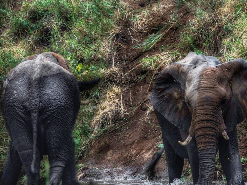 Dolu Dolu Güney Afrika Safari Turu Rotası (Cape Town - Johannesburg)