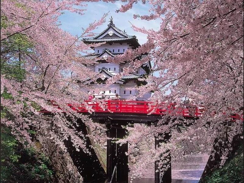 Dolu Dolu Sakura Dönemi Özel Japonya & Kore Turu Mistik Rotalar