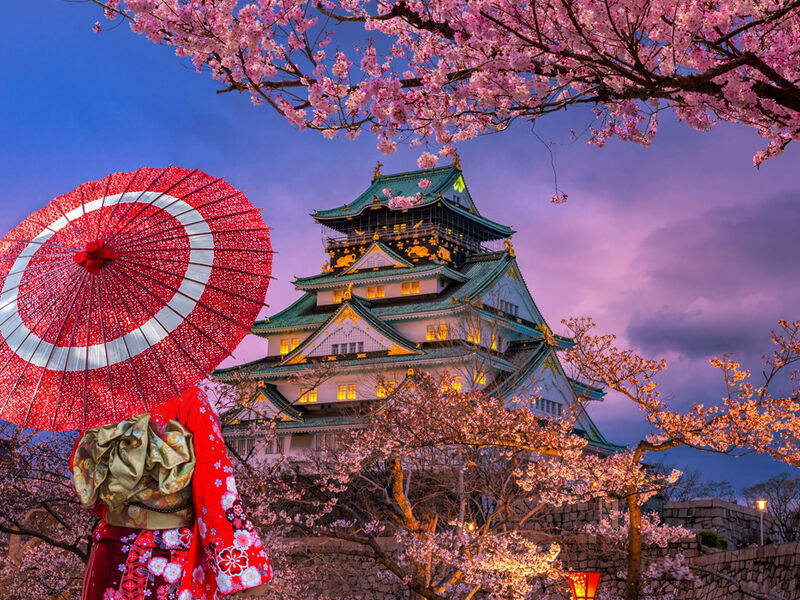 Sakura Dönemi Japonya & Kore Turu Mistik Rotalar 