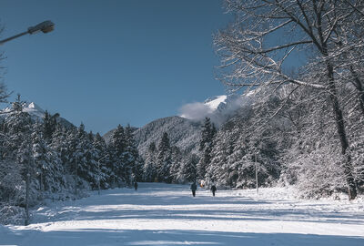 Bansko 4 Gece Kayak Rotası