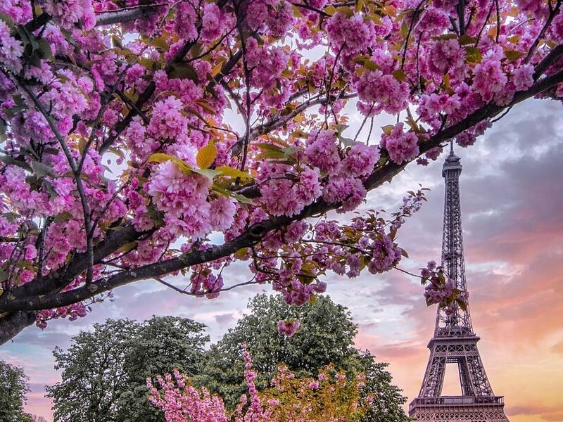 Ankara’dan Direkt Sefer İle Dolu Dolu Benelüks Turu V3