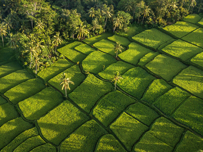 Elegant Ubud & Bali THY ile 7 Gece 10 Gün DPS-DPS