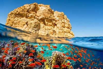 THY ile İstanbul'dan Sharm El Sheikh Turu 4 Gece (367) (TK700)