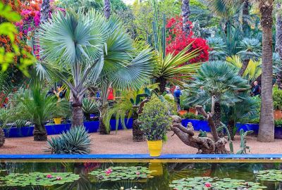 Elegant Sahra Çölü & Fas İkonları Turu Pegasus Havayolları ile 7 Gece (CMN-CMN) FL001