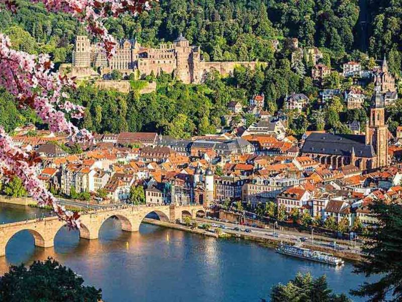 Benelux & Paris & Köln Turu Kurban Bayramı Özel THY İle (DUS-DUS)