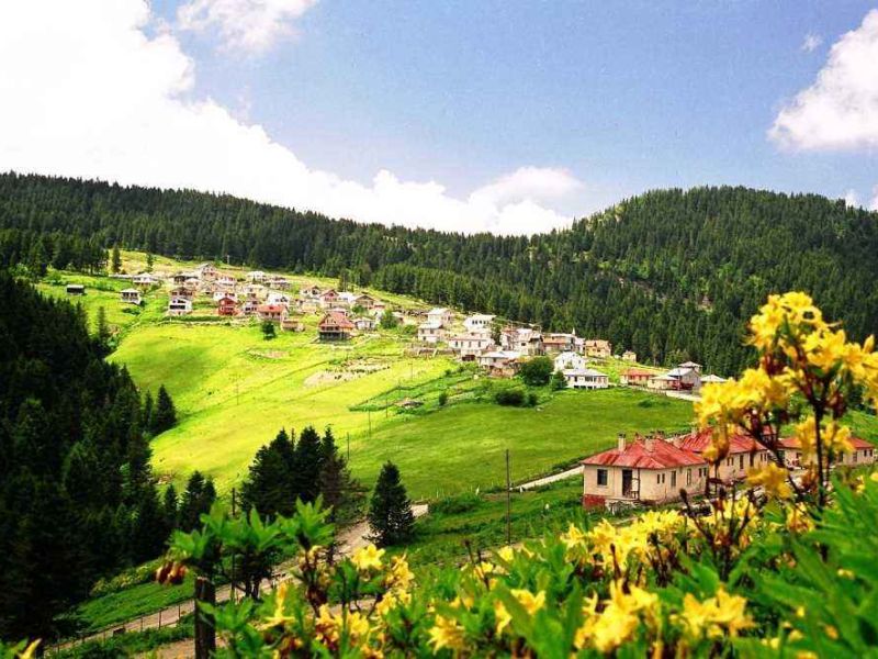 İstanbul Çıkışlı Otobüslü Karadeniz Yaylalar ve Batum Turu (4 Gece Konaklama) (Batum ve Yayla Konaklama)