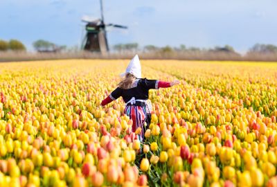 Maxi Benelux & Paris & Alsace Ajet Havayolları ile 7 Gece 8 Gün CGN-BSL FL001