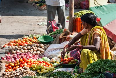 Hindistan Sarayları ve Taj Mahal Rotası