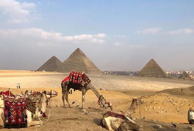 Çukurova Hareketli Antık Mısır Üçgeni (803)