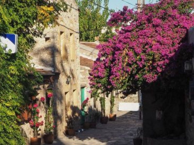 Ankara Hareketli Datça Badem Çiçeği Festivali