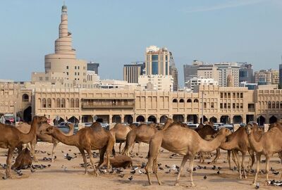 Ankara Hareketli Doha Katar Turu (805)