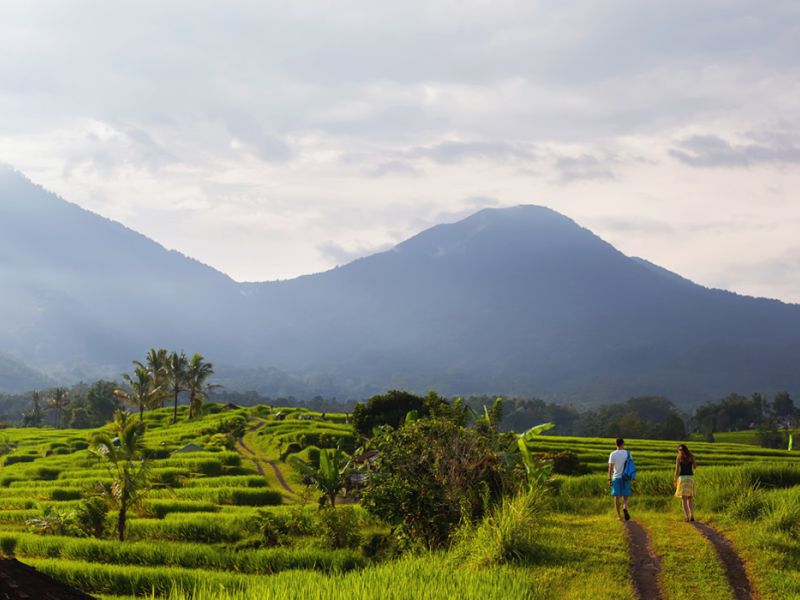 Görkemli Tropikal Ada Bali ve Ubud 5 Gece - Singapur Hava Yolları ile (2026 Yaz Dönemi)