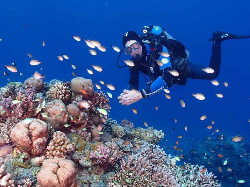 Pegasus ile İstanbul'dan Sharm El Sheikh Turu 3 Gece (397)