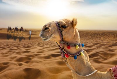 Görkemli Dubai & Lüksün Başkenti 3 Gece - Sun Express Hava Yolları  ile İzmirden Direkt Hareket (2026 İlkbahar - Yaz Döneni)