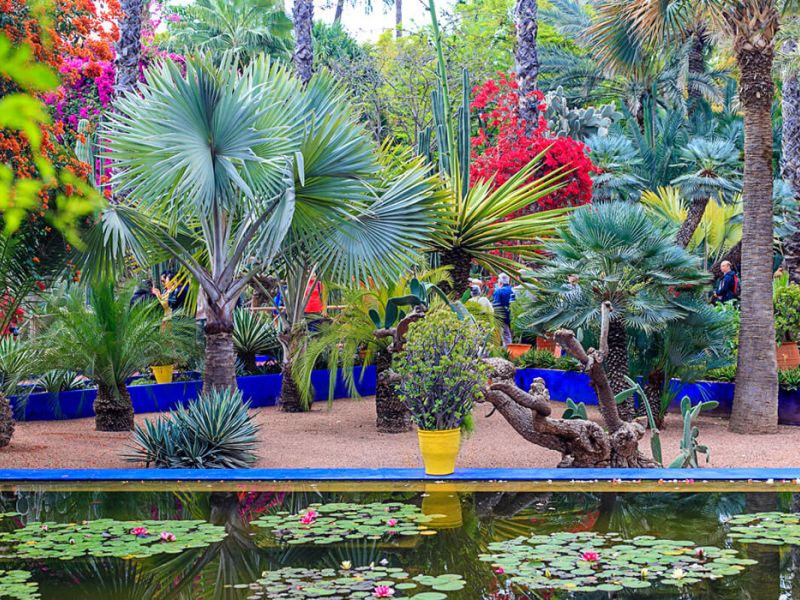 Air Arabia Hy İle Grand Fas Sahra Çölü Turu 