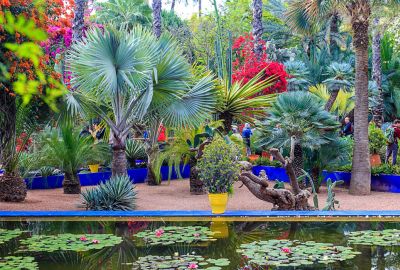 Fas Kraliyet Şehirleri | 4 Gece | İstanbul Çıkış | AirArabia