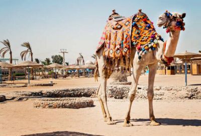 Freebird Hava Yolları ile 23 Mayıs Ankara Hareketli Kurban Bayramı Özel Piramitlerden Kızıldeniz’e Prestij Kahire & Sharm Turu (435)