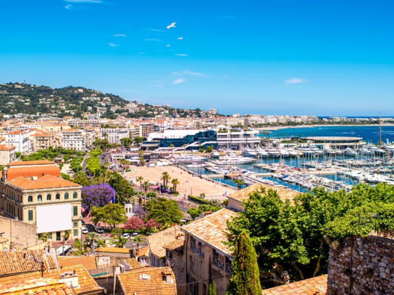 BASKLAR VE GÜNEY FRANSA 2026 PC ( BIO-MRS)