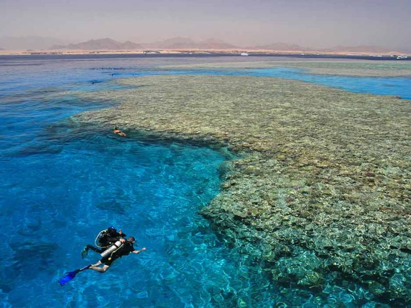 Freebird Hava Yolları ile Kurban Bayramı Özel Kızıldeniz Rüyası; Prestij Sharm El Sheikh Turu (430)