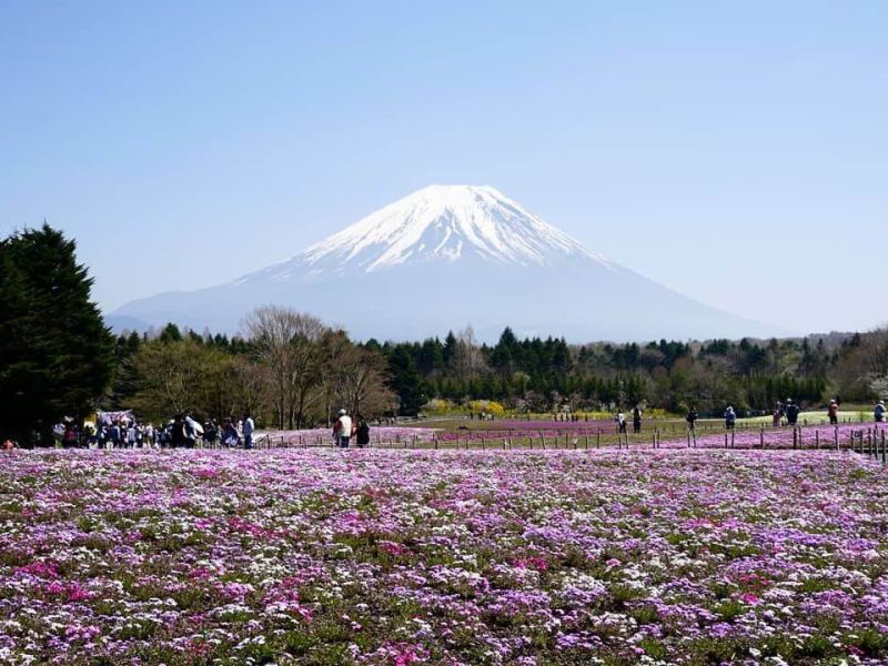 Dolu Dolu Japonya Turu Mistik Rotalar