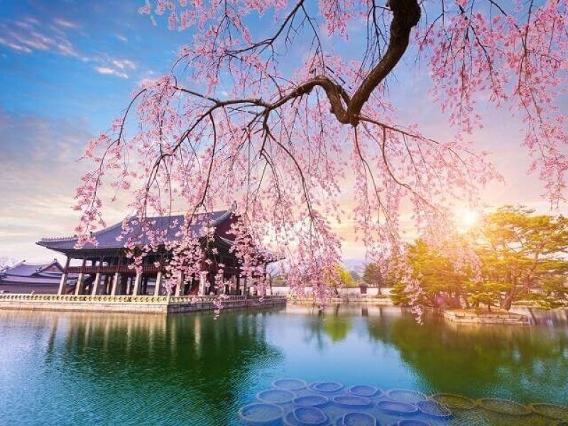 Elegant Japonya & Güney Kore THY ile 9 Gece ( ICN-NRT ) FL001