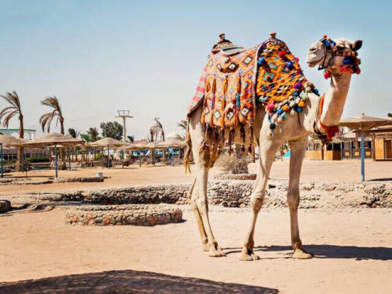 İstanbul Sabiha Gökçen Hareketli Sharm El Sheikh Turu AJET Hava Yolları ile 4 Gece 5 Gün (2025-2026 Kış Dönemi) (445)