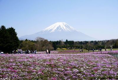 Süper Promo Direkt Sefer İle Japonya Turu
