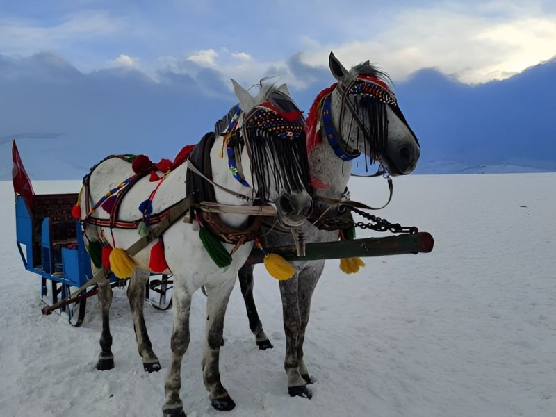 İkonik Kafkaslardan Karadeniz’e Turu | 4 Gece Konaklamalı Uçaklı İstanbul Çıkışlı
