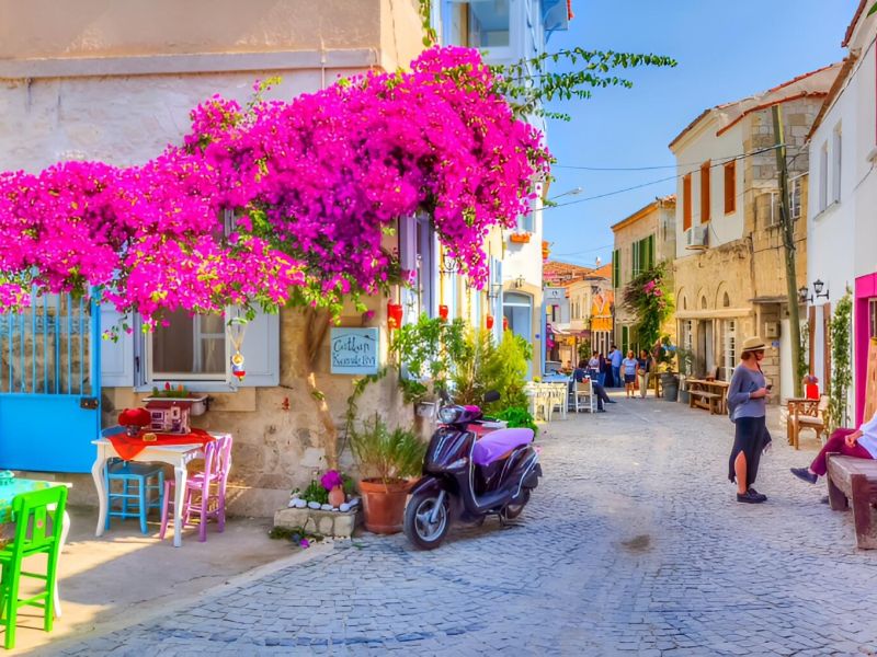 İkonik Alaçatı Ot Festivali ve Urla Enginar Çiçeği Festivali Turu - 2 Gece Otel Konaklamalı İstanbul Çıkışlı 