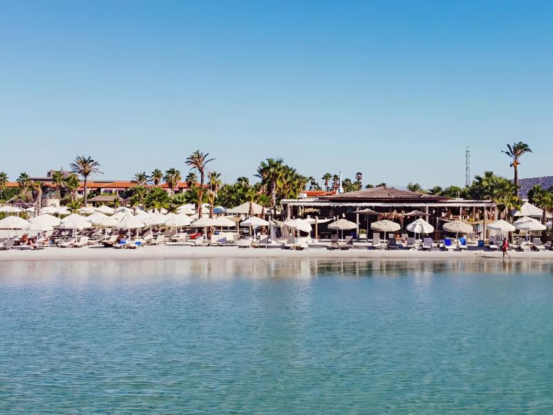 İkonik Alaçatı Ot Festivali ve Urla Enginar Çiçeği Festivali Turu - 2 Gece Otel Konaklamalı İstanbul Çıkışlı 